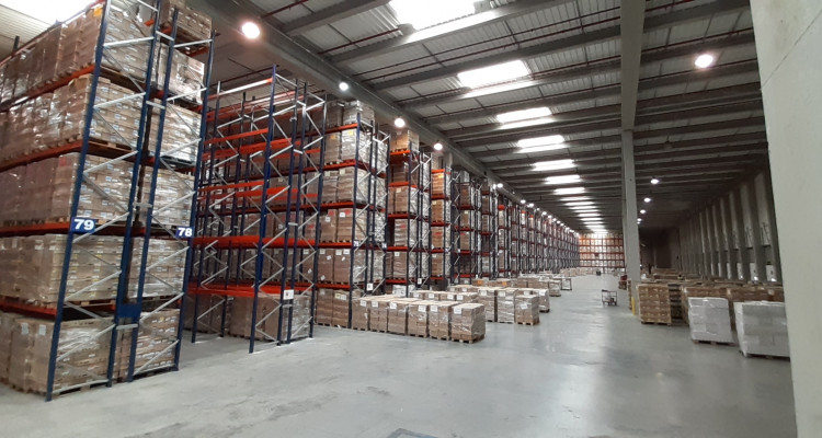 Kimer completes a leading Project of pallet racking-News
