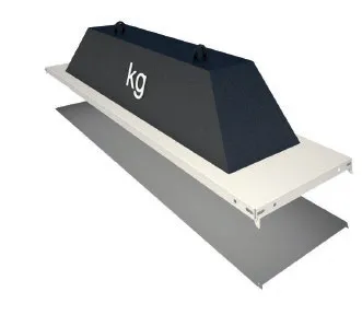 kg