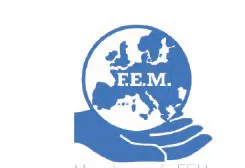 FEM
