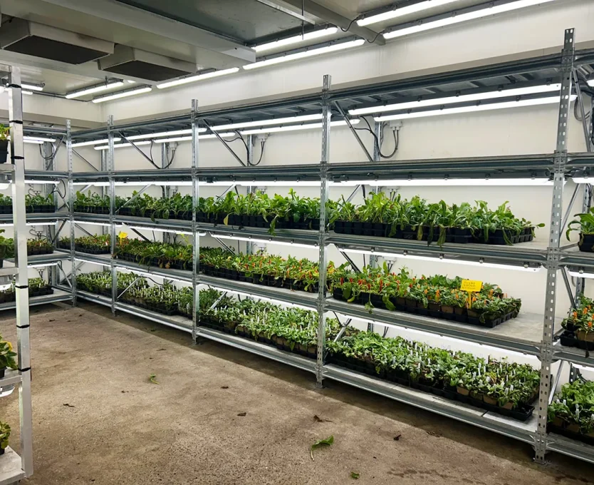 ESTANTERIA PICKING PREGALVA